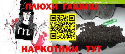 твердый Кингисепп