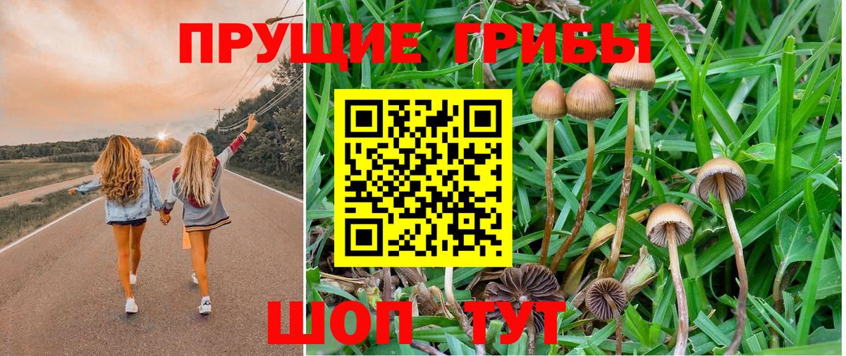 Галлюциногенные грибы прущие грибы  Вход с VPN  купить  цена  Костомукша  Псилоцибиновые грибы ЛСД 